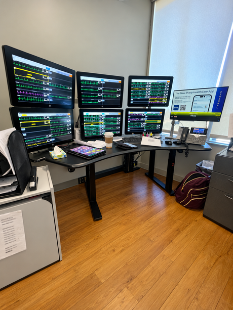 Biomorph Pro SuperPlus vs. RedRick: Comparing Two High-End Radiology Workstations