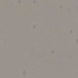 Pro SuperPlus - Extra Large, Corner Standing Desk