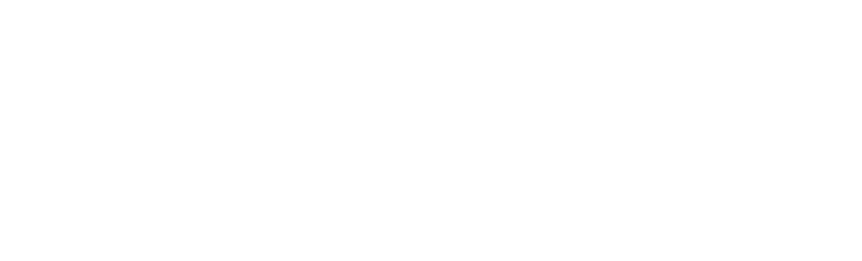 Biomorph Inc