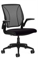 Humanscale Diffrient World Chair 2
